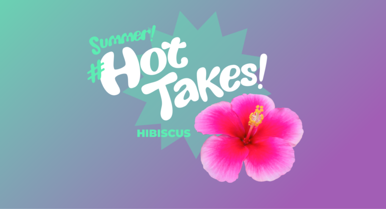 BFI’s Summer #HotTakes Flavor Fest: Hibiscus
